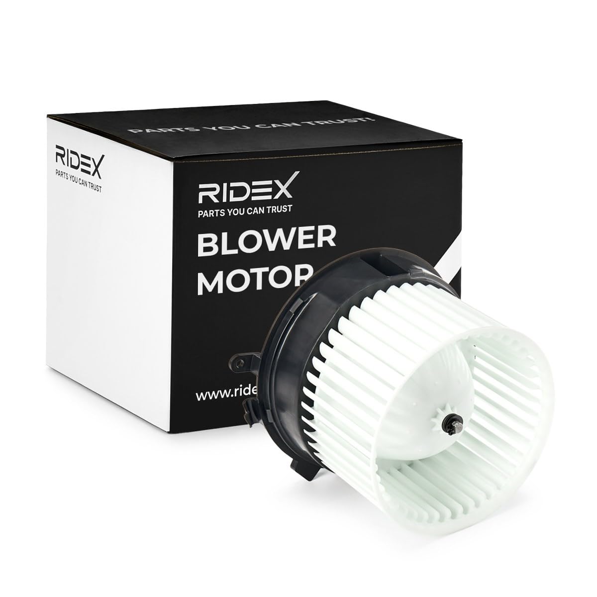 RIDEX 2669I0155 Ventilatore abitacolo Compatibilità con NISSAN Qashqai/Qashqai +2 I J10, NJ10