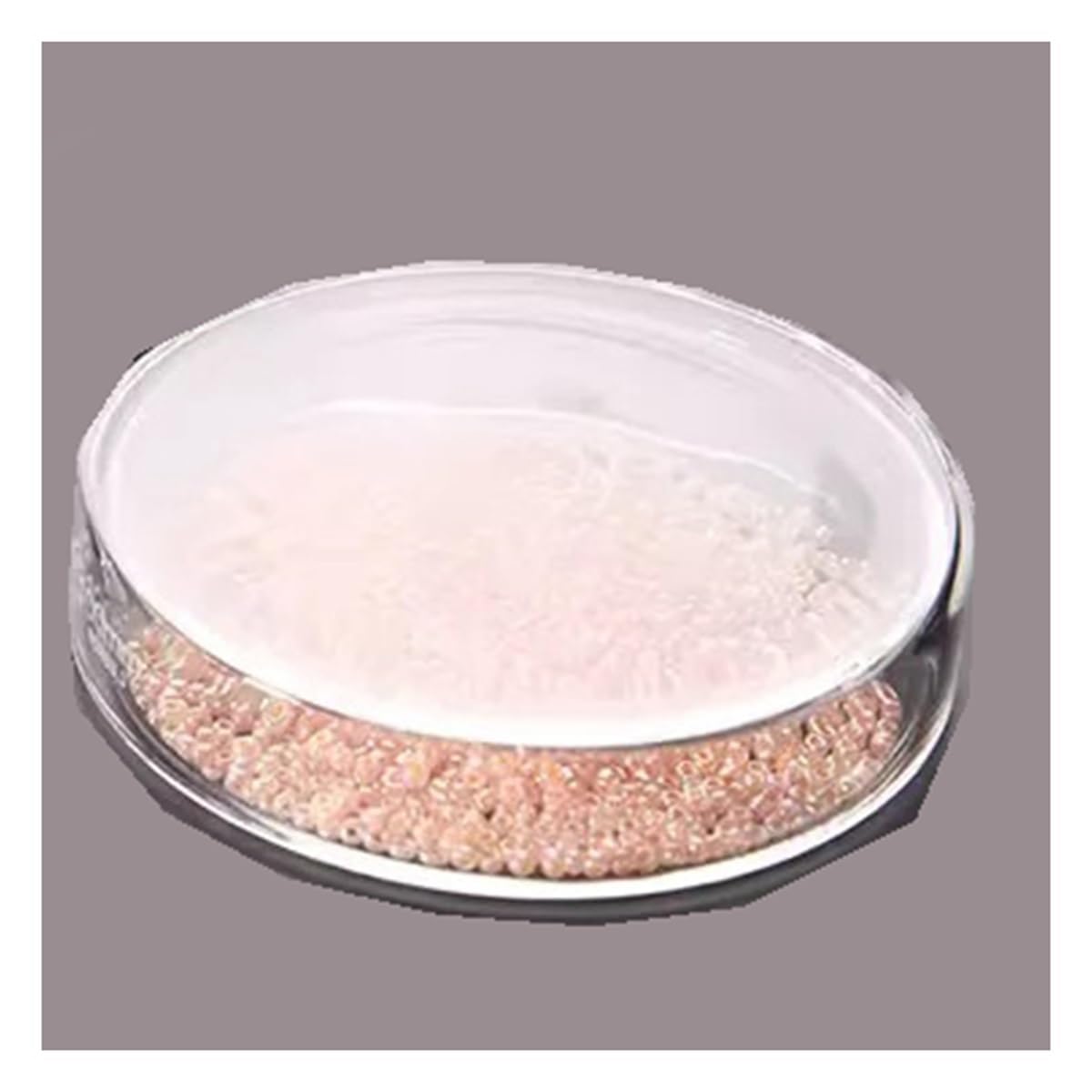 Instrumentos y Equipos de Laboratorio Placa de cultivo de borosilicato alto espesado de 60/75/90/100 mm, placa de Petri biológica, instrumento de laboratorio(100mm 10pcs)