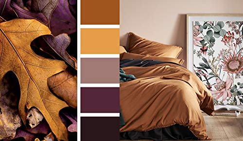 Solid Color Egyptian Cotton Duvet Cover Luxury Bedding Set High Thread Count Long Staple Sateen Weave Silky Soft Breathable Pima Quality Bed Linen (Queen, Copper) #TOP1
