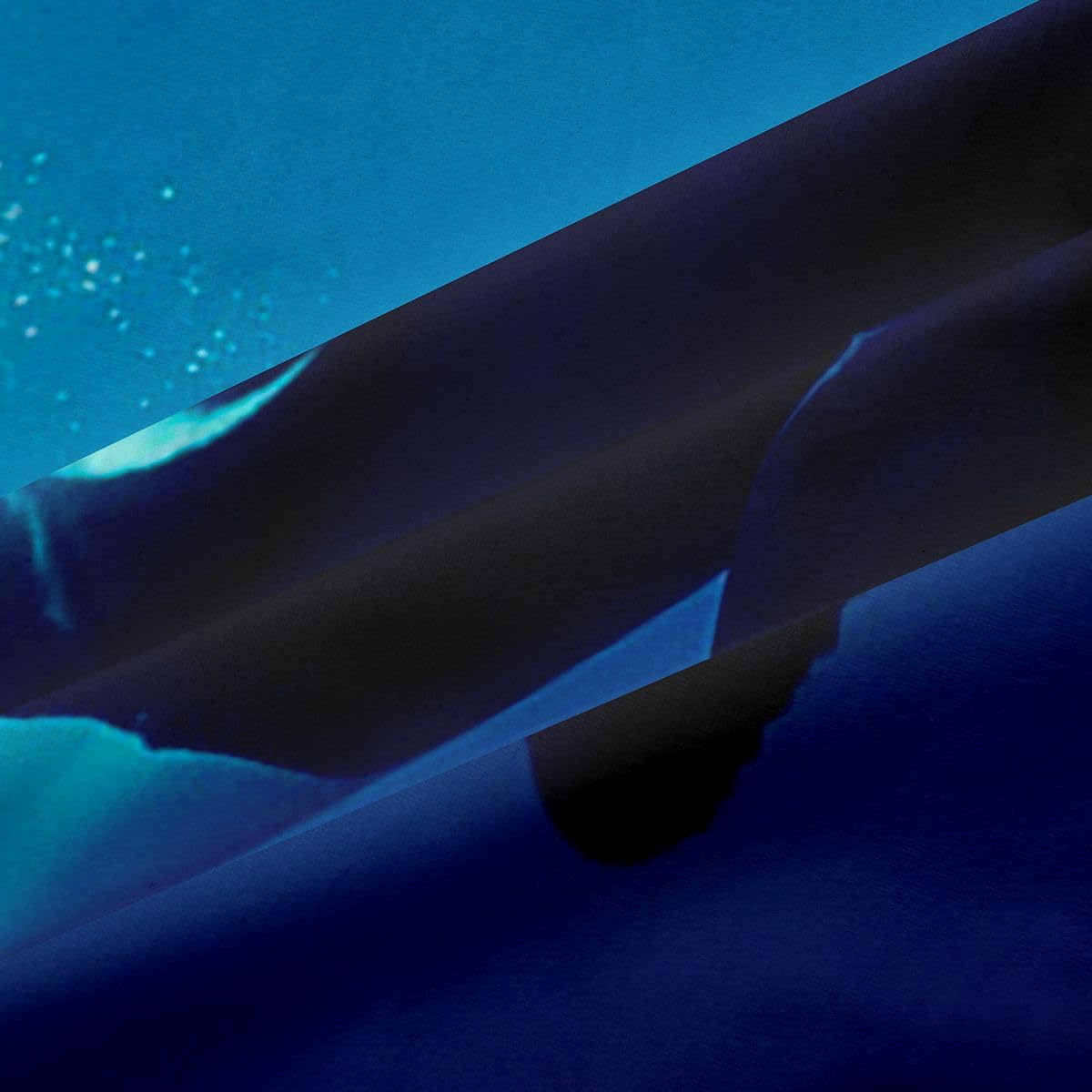 Homemissing Tende oscuranti Orca per camera da letto, soggiorno, balena oceanica, tende oscuranti con stelle marine, spiaggia, tende oscuranti per finestre, 2 pannelli da 117 cm x 117 cm