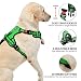 NESTROAD Hundegeschirr Kleine Hunde Grün, Anti Zug Geschirr Gepolstert Brustgeschirr für Kleine Hunde, Größe S Halsumfang 28~38CM Brustumfang 38~53CM, Reflexstreifen Brustgeschirr Hund