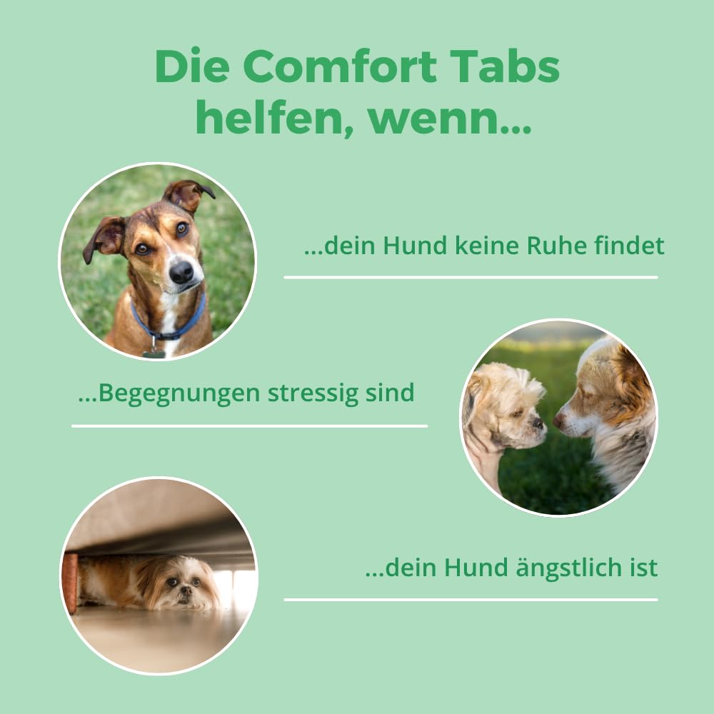 Comfort Hunde Tabs – Natürliches Beruhigungsmittel mit Tryptophan, Magnesium & B Vitaminen – Ideal bei Stress, Angst & Silvester – Für entspannte Hunde in jeder Situation | 120 Tabs