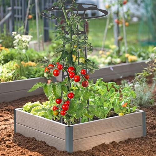 Support de fleurs robuste contre le vent pour plantes et jardin