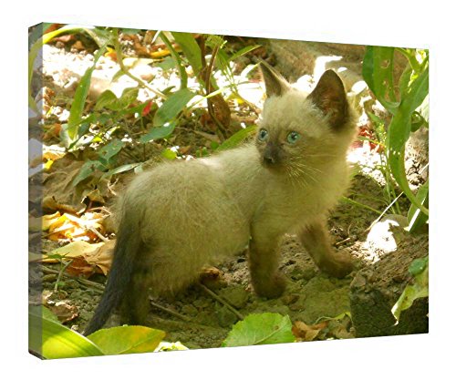 Chaton dans le jardin toile encadrée pour créer un cocon apaisant dans la chambre