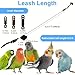 JAOCDOEN Bird Leash Anti Bite Adjustable Retractable Bird Flying Rope with 3 Sizes of Soft Foot Rings for Outdoor