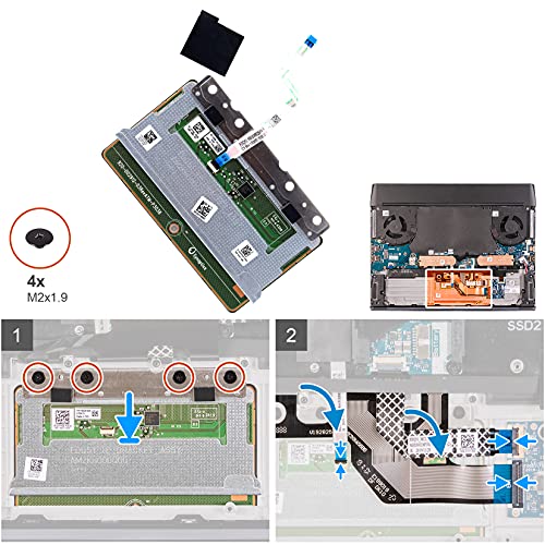 Solución a fallos de touchpad: Panel F8H8J con cable para Alienware M15 2
