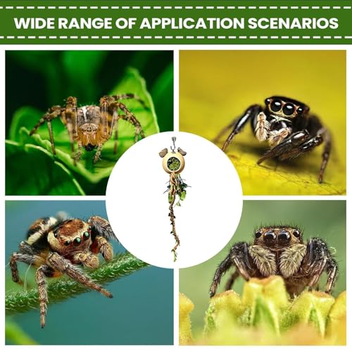 Juguetes de escalada de reptiles y accesorios de decoración para tortugas 5