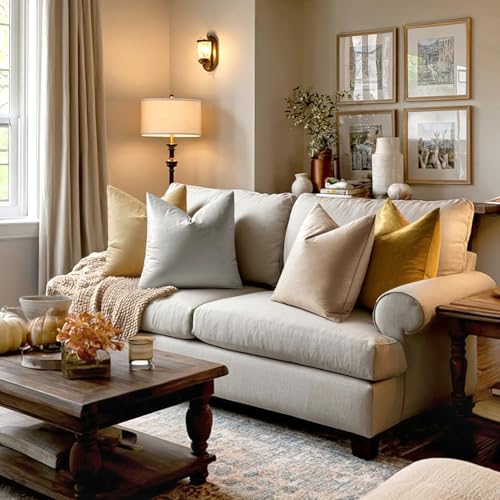 Image of MIULEE Velvet Throw Pillow Covers 18x18 Inch, Pack of 2 - Champagne, Super Soft Decorative Square Cushion Cases Modern Luxury Home Decor for Sofa, Couch, Bed, Chair with Invisible Zipper