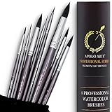 Apolo Arte Aquarellpinsel Set für Profis | Round Series | 8er Aquarell Pinselset | Hohe Absorption und Kontrolle des Wassers für konstanten Farbfluss | Pinsel Aquarell für Künstler | Aquarell Pinsel