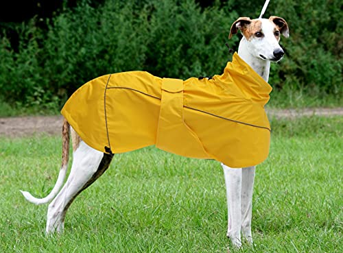 Greyhound Lurcher Raincoat, Whippet Rain Gear With Reflective Bar, Rain/Waterproof, Adjustable Bands And Drawstring In Autumn And Winter - Yellow - Xxxl #TOP5