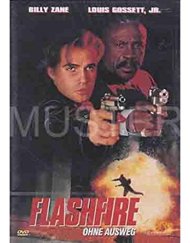 Preisvergleich Produktbild Flashfire - ohne Ausweg