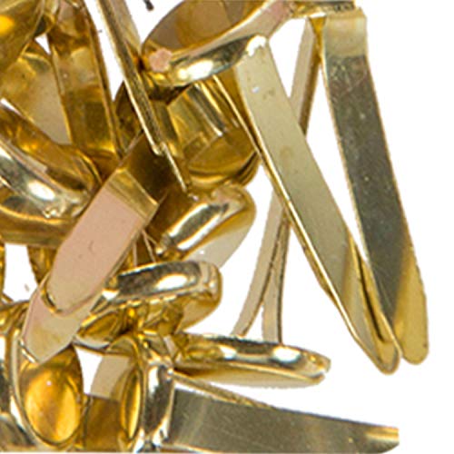 Kathay 86400765 Box mit 30 Metallheftern, goldfarben, 19 mm, ideal für Schul- und Dokumente