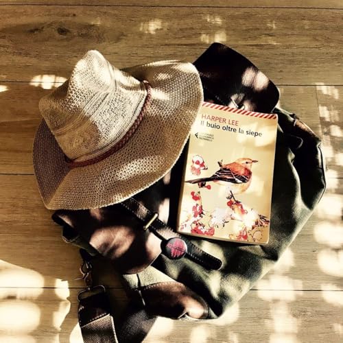 Stagione 12, puntata 12: Senso di ingiustizia, "Il buio oltre la siepe" di Harper Lee