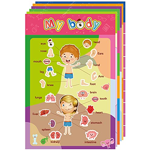 Learning posters for toddlers 1-3, Preschoolers, and Kindergarten. Learning Posters with Glue Point Dot for Classroom Decor, Preschool Learning, and Homeschool Supplies (6 Pieces) Learning posters for toddlers 1-3, Preschoolers, and Kindergarten. Learning Posters with Glue Point Dot for Classroom Decor, Preschool Learning, and Homeschool Supplies (6 Pieces)
