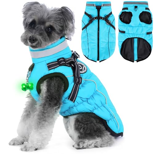 HezzLuv Hundemantel Winter, Hundemantel Wasserdicht, Warme Hundejacke mit Geschirr, Reflektierende Streifen, LED-Leuchtkragen, Winterjacken & Wintermäntel für Kleine, Mittelgroße Hunde