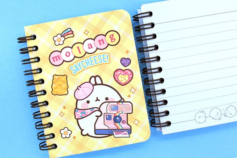 Mini carnets à spirale lignés Molang MSGlobal, lot de 4 petits calepins rigides - 2