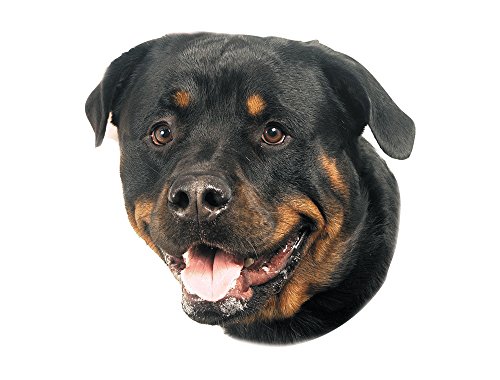 Nobby Sticker Rottweiler geel 12 x 3,5 cm