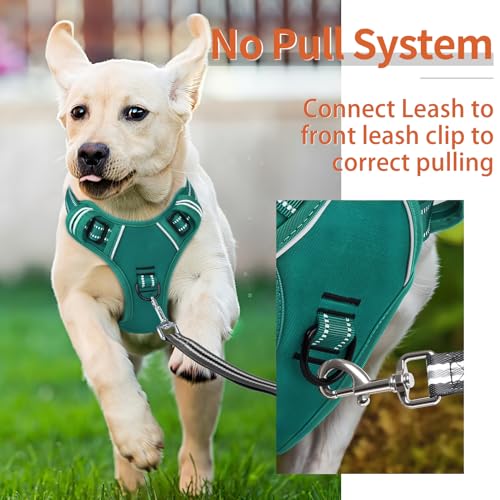 Image of HEELE Dog Harness for Large Dogs No Pull Dog Vest Harness for Large Dog with Soft Padded Handle Reflective for Outdoor Training, Grass Green, XL