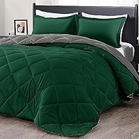 downluxe lightweight down comforter