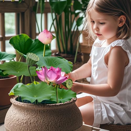 image for Doter Aquatic Soil for Plants - 2.2LBS, Clay Aquarium Soil Suitable fo