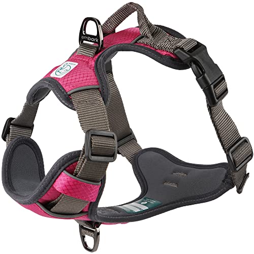 Best Dog Harness for Hiking a Safety Gear Hellow dog