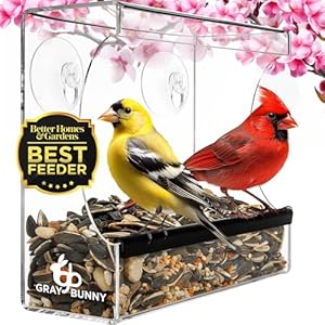 Gray Bunny Clear Window Bird Feeder – Window Bird Feeders for Outside, Window Bird Feeders for Viewing with Strong Suction Cup, Transparent Bird Feeder for Window, Bird House Gifts for Mom, Dad