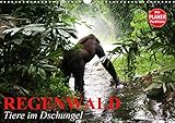 Autor(in): Elisabeth Stanzer Regenwald. Tiere im Dschungel (Wandkalender 2021 DIN A3 quer)