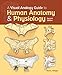 A Visual Analogy Guide to Human Anatomy and Physiology