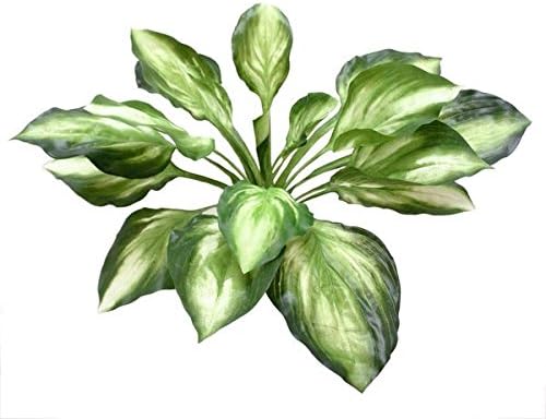 Renaissance 2000 Artificial Hosta Bush, Green