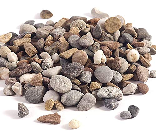 hagebauSPN 25Kg Buntkies 8-16mm