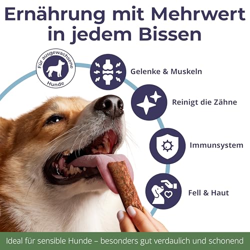 ECO WOOF Fisch Hundesnack Mix - Kaustreifen vom Wels Probierpaket - 375 g - 3 Sorten - Wels Pur | Kürbiskern | Bierhefe - Getreidefreie Fisch-Hundeleckerli - Unterstützt Zahnpflege & Verdauung