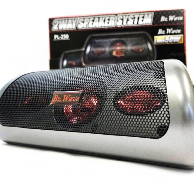 Amazon.co.jp: 増設リアスピーカー2個セット PL-250 最大50W 