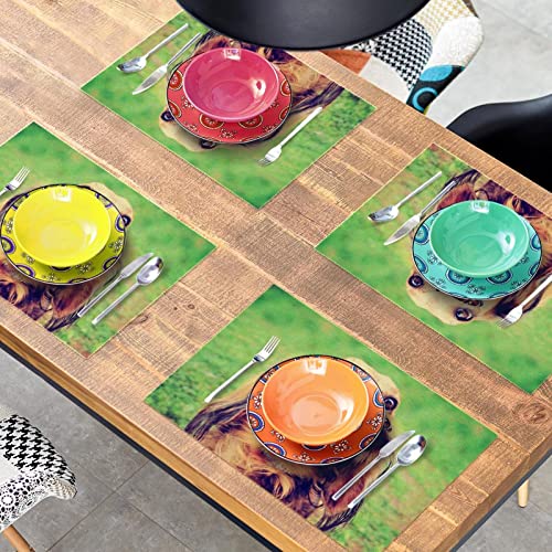 Sets de table teckel antidérapants et résistants à la chaleur - 8