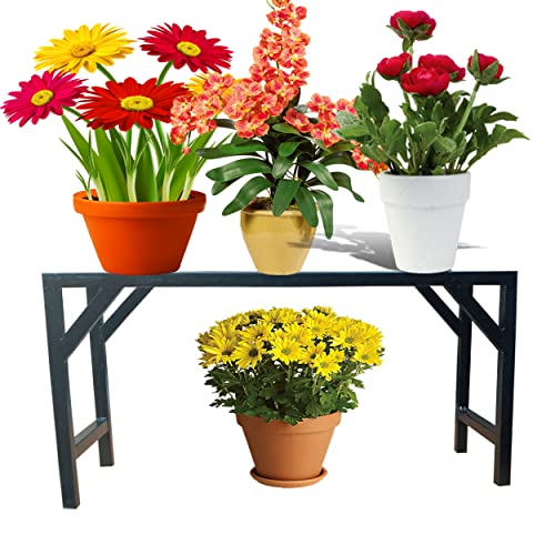 Image of A-One One Step Garden Plant stand Flower Pot Holder Plant Pot Stand Heavy Duty (BLACK) {Pack of 2} Heavy Duty Holds Upto 175 KG