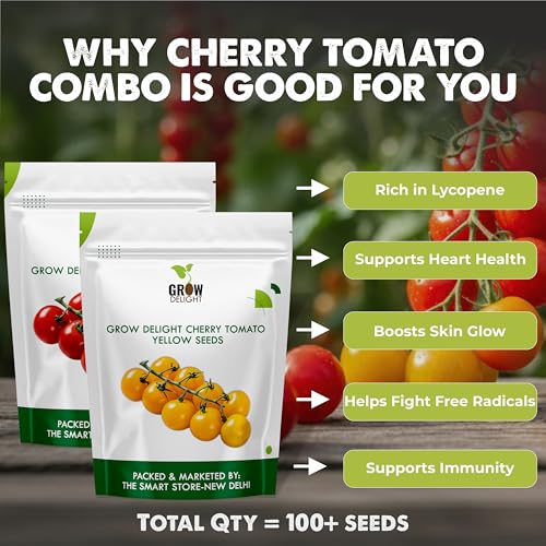 Image of Cherry Tomato Red&Yellow 100+ Vegetable Seeds for Home Garden