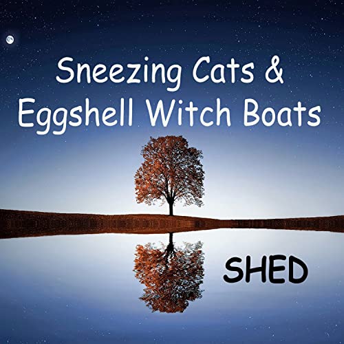  Sneezing Cats and Eggshell Witch Boats