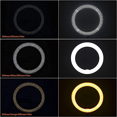 LED Ringlicht Kit Bleaching Fülllicht Led Ring Fotografie Licht Fundus Licht Mit Lichtrahmen Schminkspiegel… – Bild 6