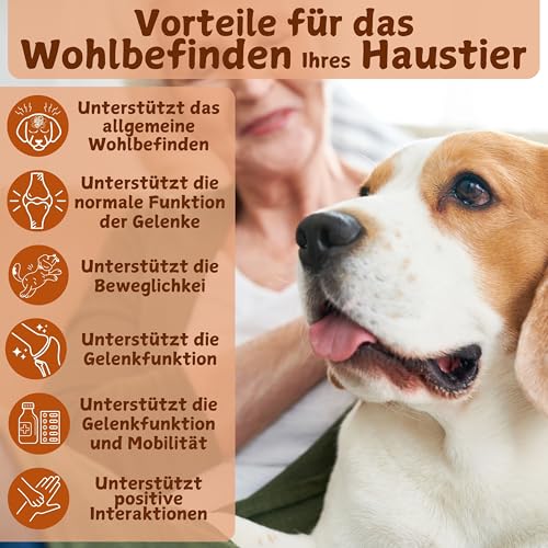 PETSUPLUS Gelenktabletten Hund mit Grünlippmuschel Hund, Hunde Gelenk Supplement Tabletten, Glucosamin MSM Chondroitin Kollagen Hyaluronsäure, stärkt Gelenke -120 Kautabletten