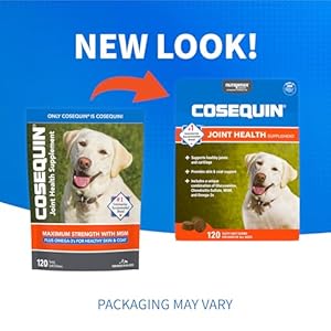 Cosequin Joint Health Supplement for Dogs - With Glucosamine, Chondroitin, MSM, and Omega-3's, 120 Soft Chews Cosequin Joint Health Supplement for Dogs With Glucosamine Chondroitin MSM and Omega 3s 120 Soft Chews