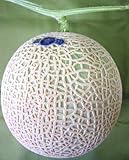 静岡県産 クラウンメ�