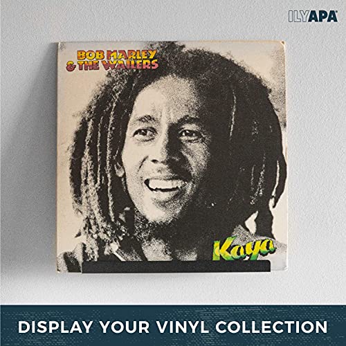 Ilyapa Metal Vinyl Record Shelf Wall Mount, 6 Pack - Black Steel Record Album Holder Display Your Lp #TOP2