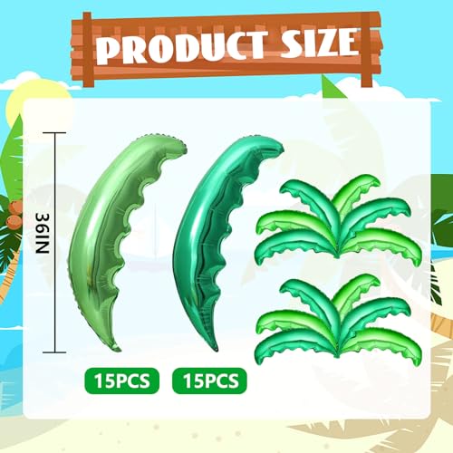 Reviews y listado de Palmera coco plumoso precio disponible en línea para comprar. 17 Imagen adicional