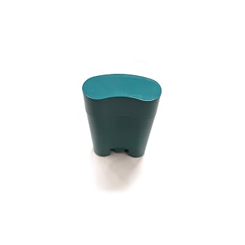 Empty Deodorant Container - 20g (.7 oz) Bottom-Fill Oval, Twist-Up, #5 Recyclable Plastic (PP) (6-Pack)