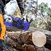 16'' Electric Cordless Chainsaw One-Hand Chain Saw Wood Cutter Woodworking 6000W, 2x4000MAH Rechargeable Battery, Auto-Tension and Anti-Vibration