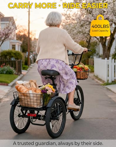 Skeri Electric Trike, 500W(Peak 1000W) Electric Tricycle for