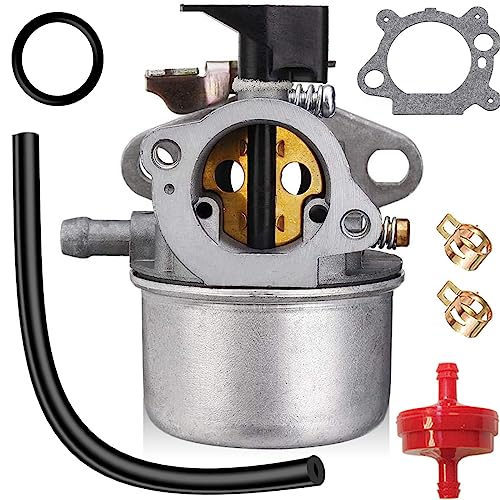 ZAMDOE 498965 Carburador para Briggs & Stratton motores de cortacésped Quantum Motor Reemplaza 494216 493422 494971 con junta Anillo de goma Manguera de combustible Filtro de combustible