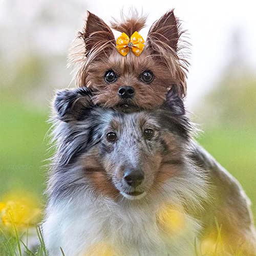 PET SHOW 50 peças/25 pares de laços de pelo de cachorro pequeno padrão de pata a granel com faixas d