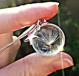 Cadena de plata esterlina collar de diente de león colgante estrella caja de regalo colgante de cristal regalo de graduación para niñas Regalo del dia de la madre