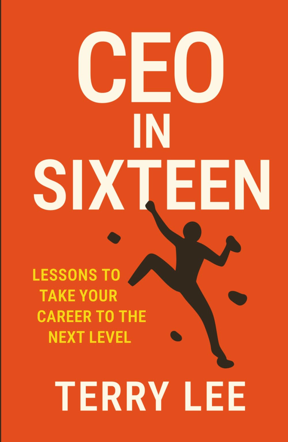 CEO in Sixteen: Lessons to Take Your Career to the Next Level