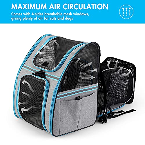 Expandable Pet Carrier Backpack - Soft Sided Cat Back Pack with Breathable Mesh for Small Dogs Cats, Collapsible Pet… - Image 7